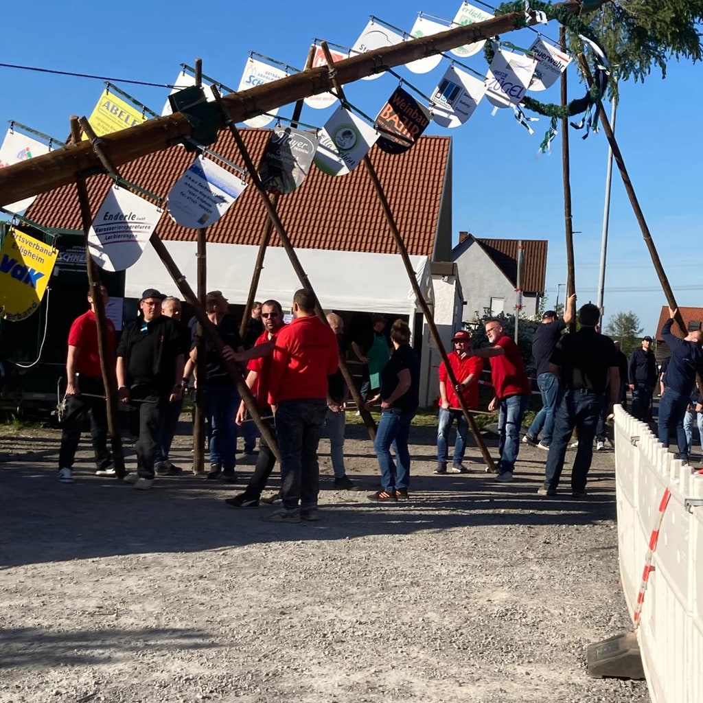 Aufrichten des Maibaums mit Helfern in roten Shirts