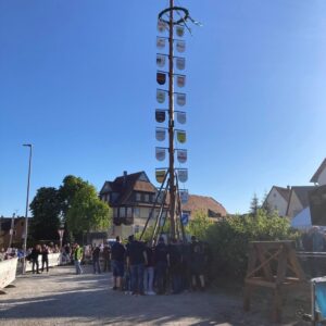 Der aufgerichtete Maibaum mit allen Schildern